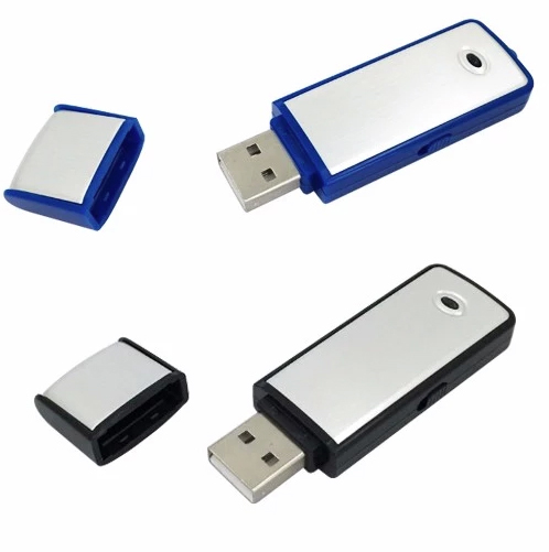 paslėptas balso įrašymo įrenginys usb