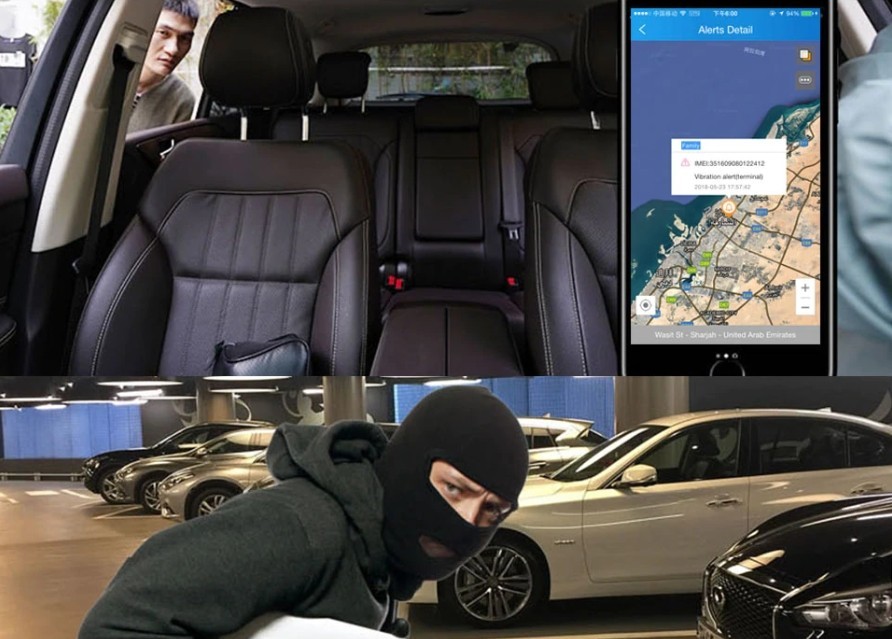 Vibracinė apsaugos nuo vagystės signalizacija - profio x4 automobilio kamera